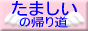 ���ޤ����ε���ƻ