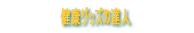 �򹯴������