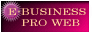 E-BUSINESS��PRO